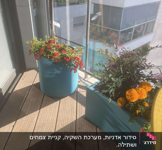 עציצים עם פרחים צבעוניים במרפסת עץ